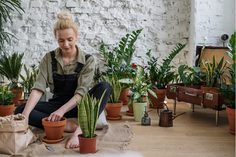 Person with plants demonstrating how Rainbow Marketplace works
